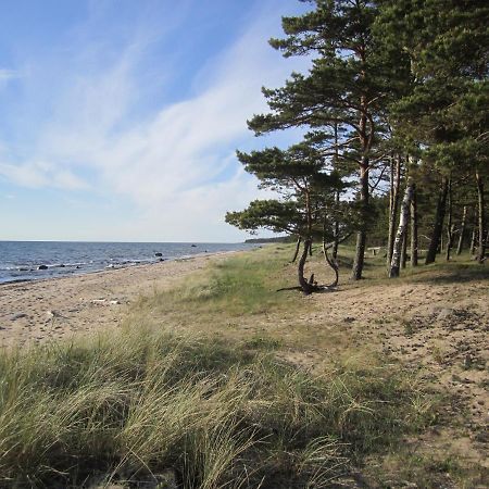 Tahkuna Forest House Kõrgessaare Eksteriør bilde
