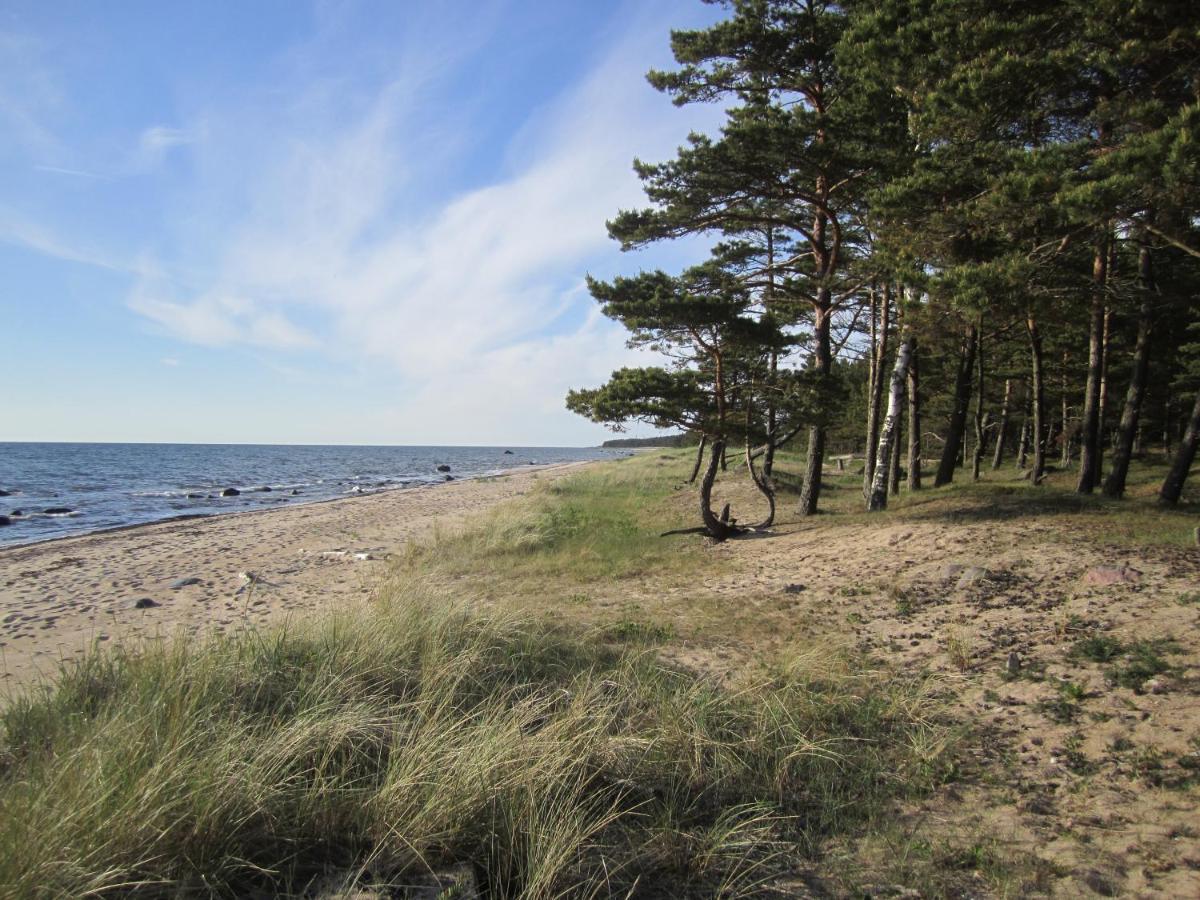 Tahkuna Forest House Kõrgessaare Eksteriør bilde